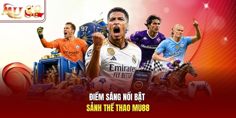 Tổng quan sảnh thể thao Mu88