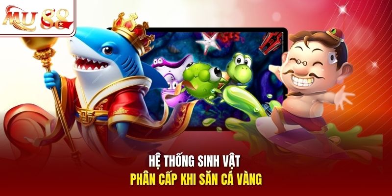 Hệ thống sinh vật phân cấp khi săn cá vàng