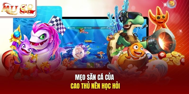 meo-san-ca-cua-cao-thu-nen-hoc-hoi Mẹo săn cá của cao thủ nên học hỏi