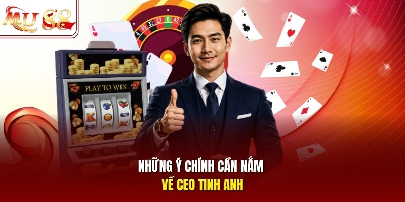 Thông tin cơ bản về CEO Tinh Anh