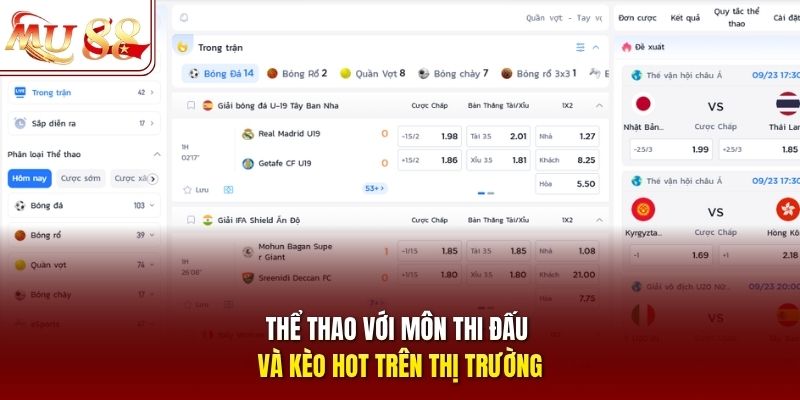 Thể thao với môn thi đấu và kèo hot trên thị trường
